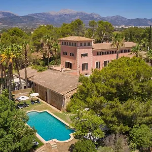 Virrey , Inca (Mallorca) Spanien